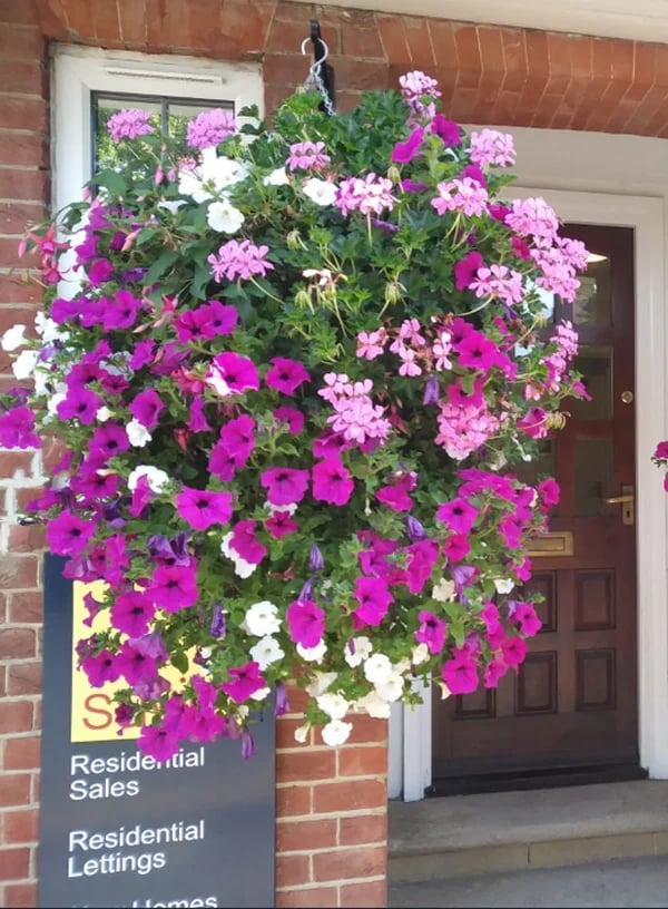 This Week's Special Sale 75% Off- UV Simulation Artificial flower