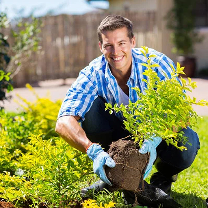 CVREOZ Soil Activator