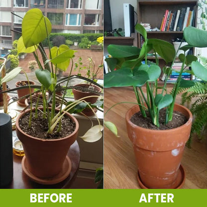 CVREOZ Soil Activator