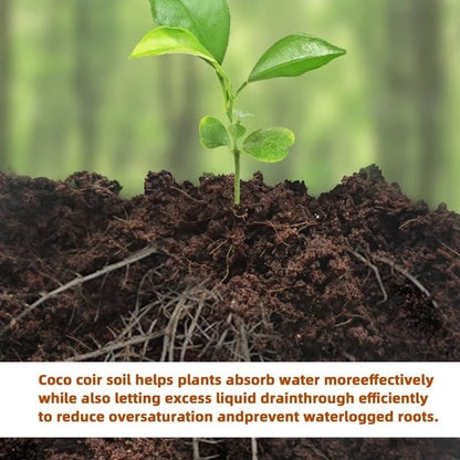 Last Day Sale 49% OFF✨ - Organic Coconut Coir for Plants(Collected from Pacific island countries)